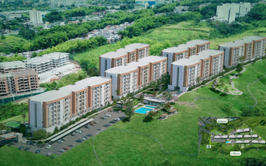 Palmas de La Bretaña